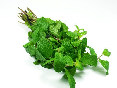 Menta Osmia szaunaillat 50ml