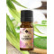 Aloe bambusz természetes kozmetikai illatosító, Ellemental 10ml