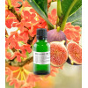 Fig & Osmanthus illatolaj 25gr Elemental