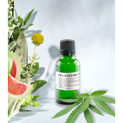 Hemp Leaves Saga illatolaj 25gr