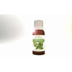 Majoranna illóolaj Neuston 5ml