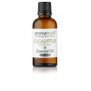 Aromatruth eukaliptusz illóolaj 10ml