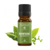 Ravintsara illóolaj Ellemental 10ml