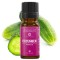 Cucumber parfümolaj- Frissen szedett uborka illata, Elemental 10 ml