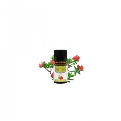 Azalea essential oil