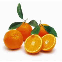 Narancs Aromax illóolaj, 10 ml