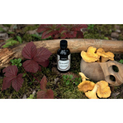 Lábonszáradt fenyő Osmia szaunaillat 50 ml