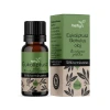 Eukaliptusz illóolaj Herbys 10ml