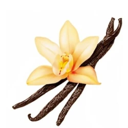 Vanilia 10ml