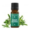 Antioxidáns Rozmaring kivonat,10 ml Antioxidáns Rozmaring kivonat,10 ml