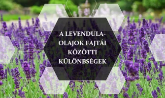 Levendula illóolajok fajtái