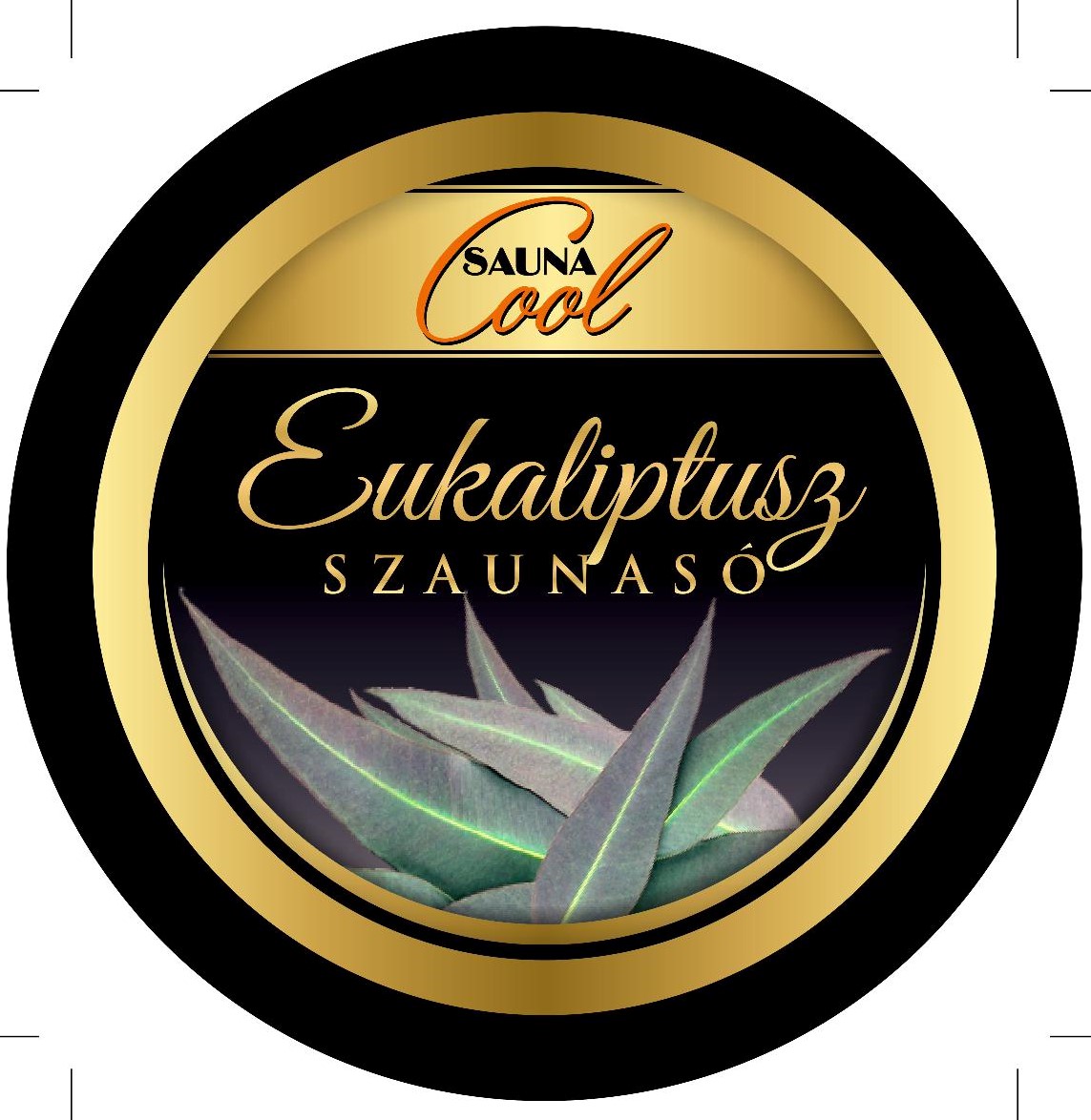 Eukaliptusz szauna só