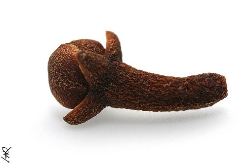 Szegfűszegolaj